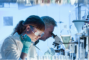 Biomedical Industry